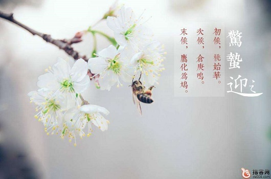 驚蟄時節,山西鋼結構工人怎么過?